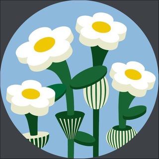 Логотип @romasheda_talks - Ромашковый сбор, чат