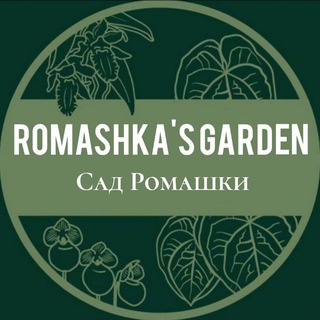 Логотип @romashka_plants - 🌿ℝ𝕠𝕞𝕒𝕤𝕙𝕜𝕒 ℙ𝕝𝕒𝕟𝕥𝕤🌿