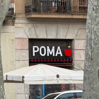 Логотип @romavkitae - Рома в Китае