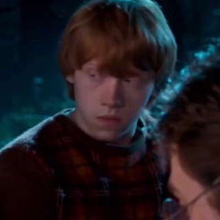 Логотип @ronnyweasley - ron weasley diary.🦁