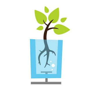 Логотип @roootshop_info - Гроушоп Корень