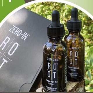 Логотип @rootsbusiness - The ROOt's - Business