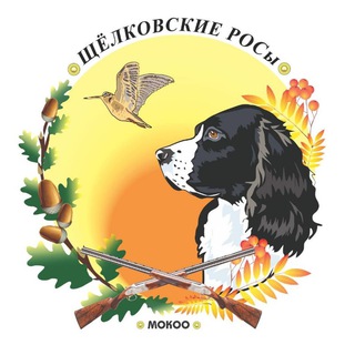 Логотип @ros_shros - 🔥Русский охотничий спаниель🔥ЩРОСы