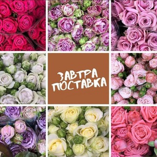 Логотип @rose_number_one - 🌏ЦВЕТЫ ОПТОМ 🌸 ИМПЕРИЯ ЦВЕТОВ 🌸