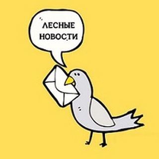 Логотип @roslesinforgg - Лесные новости