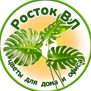 Логотип @rostok_vl - РостокВл 🪴 Rostok_Vl Владивосток