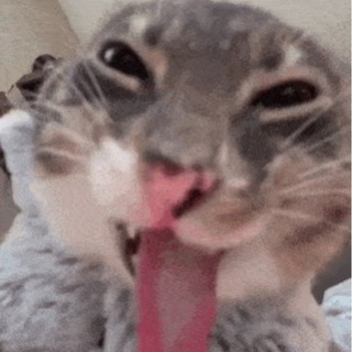 Логотип @rotzakrin - рот закрой