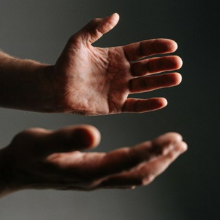 Логотип @rova_biodynamic - Школа прицельной биодинамики "Рова"