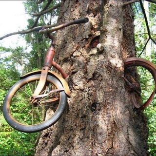 Логотип @rovar_search - Потерялся велосипед (Беларусь)