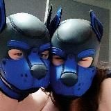 Логотип @royalbluepups - Royal Blue Pups 🐾🐶