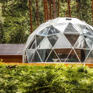 Логотип @royalforest_altay - Royal Forest