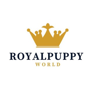 Логотип @royalpuppyworld - ROYALPUPPYWORLD | Той-пудель | Toy poodle puppies