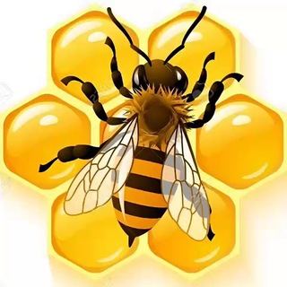 Логотип @royclubpresentations - Презентации