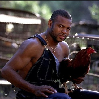 Логотип @royjonesjrboxing - Boxing | Чат 👊