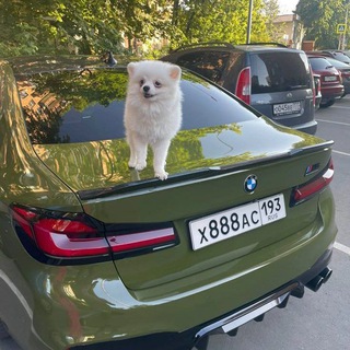 Логотип @rozgovorgruppicarparking78 - Vip_vinils 2