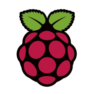 Логотип @rpi_cn - Raspberry Pi CN