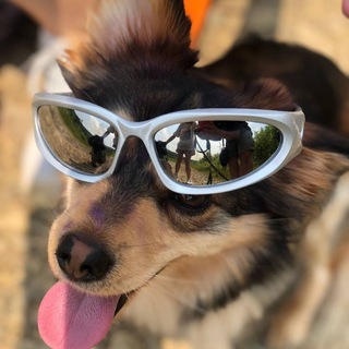 Логотип @rrroockyyy - коржеподобный 🍞