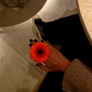 Логотип @rrrx79 - R//sheykh🧸