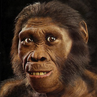 Логотип @rsapiens - Рефлексия сапиенса