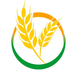 Логотип @rshbnews - Новости РСХБ