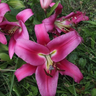 Логотип @rskreativwerkstatt - Susannes Kreativwerkstatt