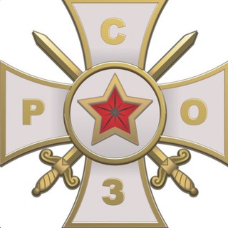 Логотип @rsozstaryoskol31 - РСОЗ чат