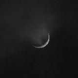 Логотип @rstnpeacee - keelove🕊️