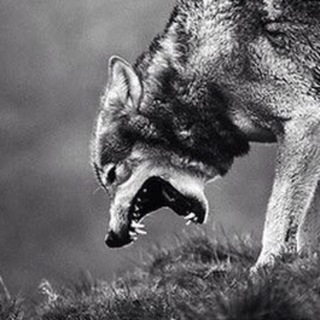 Логотип @ru_hate - Мемы для злых людей