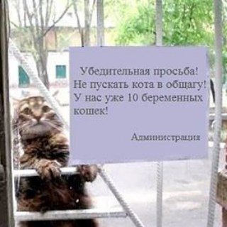 Логотип @ru_laravel - DELETED - Мы переехали на @laravelrus