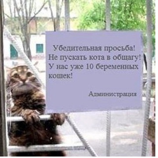 Логотип @ru_php - DELETED - join @phpclubru