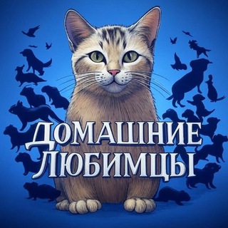 Логотип @ruanimals - Домашние Любимцы