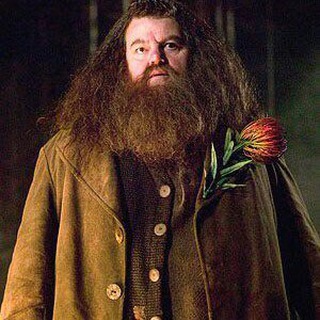 Логотип @rubbeus - Rubeus Hagrid