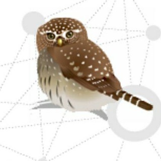 Логотип @rubirds - Ru-Birds news