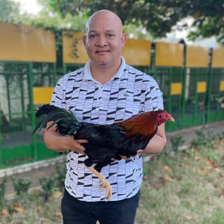 Логотип @rubitodecanovi - RUBITO DE CENOVI