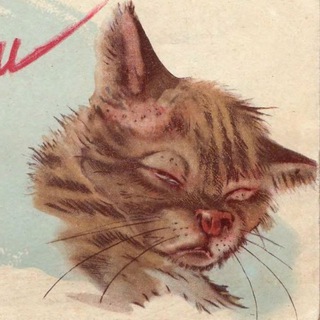 Логотип @rubthefurthewrongway - Против шерсти