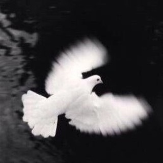 Логотип @ruhmuslima - RUHMUSLIMA