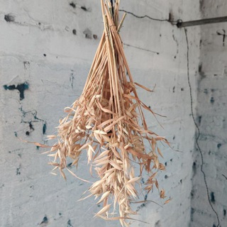 Логотип @rukozhopartist - rukozhop_artist 🍑🤌