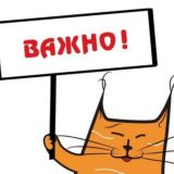 Логотип @rus_news_on - Главные Новости