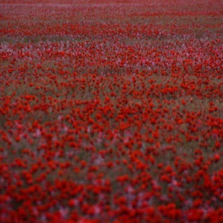 Логотип @rus_rix - Чим