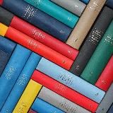 Логотип @rusaudiokniga - Аудиокниги