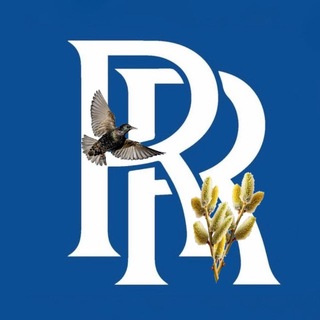 Логотип @rusavkino_romanovo - Русавкино-Романово | Балашиха