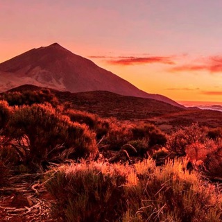 Логотип @ruscanarias - 🇮🇨Жизнь на Канарах 🇮🇨 Тенерифе …