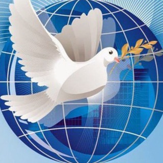 Логотип @rusdrone - RusDrone DJI