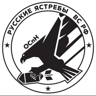 Логотип @ruskie_yastrebi - ОСпН РУССКИЕ ЯСТРЕБЫ ВС РФ