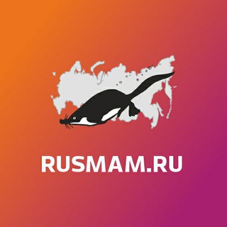Логотип @rusmammals - Млекопитающие России