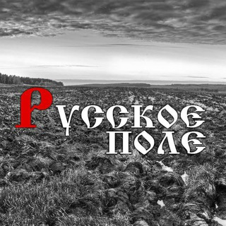 Логотип @ruspoleorg - 🕊Русское Поле🕊 - концептуальный клуб