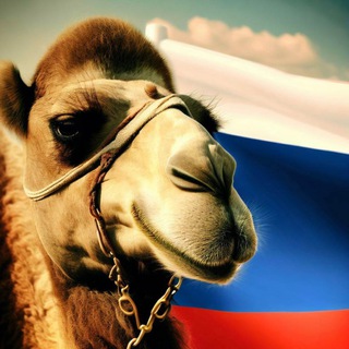 Логотип @russbv - Россия на Ближнем Востоке