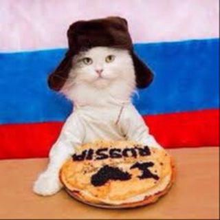 Логотип @russiadetka22 - Это RUSSIA Детка