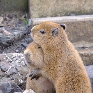 Логотип @russian_help_russian - Взаимопомощь за границей