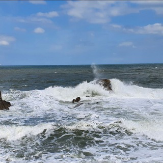 Логотип @russian_ireland - RussianIreland.com